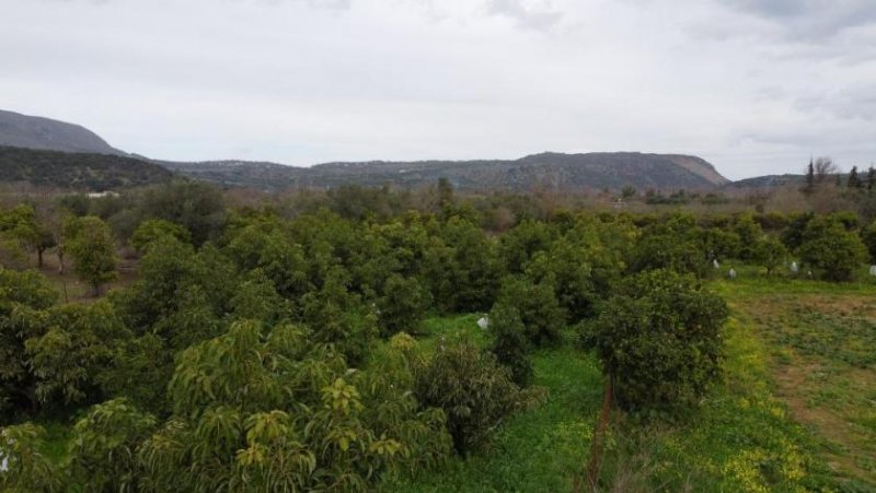 Stilos Kreta, Stilos: Charmantes ländliches Grundstück mit Bergblick zu verkaufen Grundstück kaufen